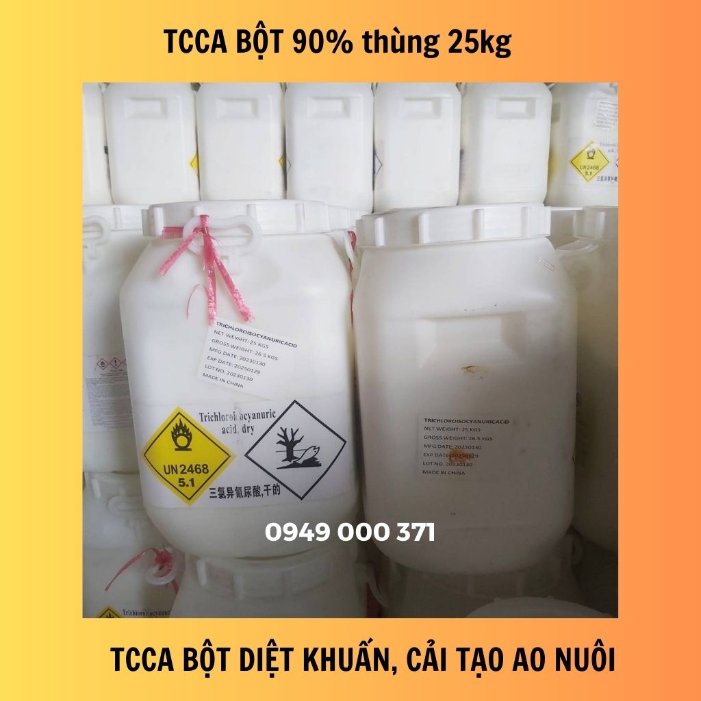 TCCA bột (Trichloroisocyanuric Acid), xử lý, diệt khuẩn ao nuôi