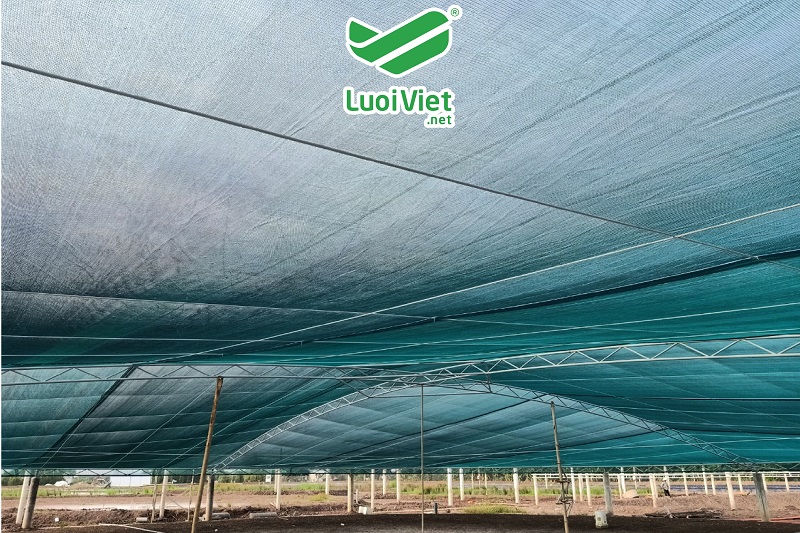 LƯỚI NUÔI TÂM CHẤT LIỆU HDPE CÓ KHẢ NĂNG CHỐNG THẤM