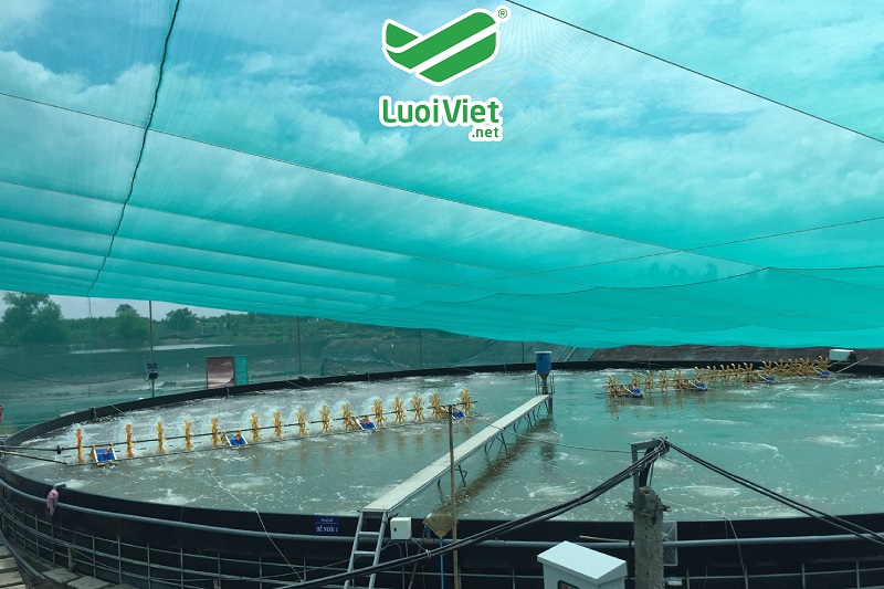 LƯỚI NUÔI TÂM CHẤT LIỆU HDPE CÓ KHẢ NĂNG CHỐNG THẤM