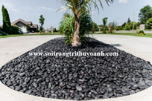 Sỏi đen bóng trang trí tiểu cảnh sân vườn tại TP.HCM