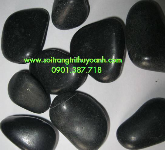 Sỏi đen bóng trang trí tiểu cảnh sân vườn tại TP.HCM