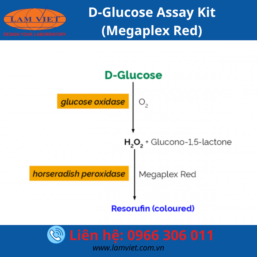 D-Glucose Assay Kit (Megaplex Red)