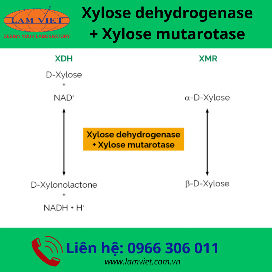 Bộ kit Integrated Total Dietary Fiber Assay