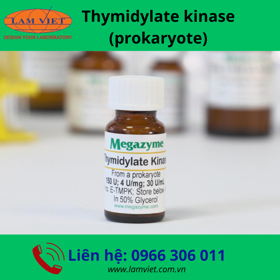 BỘ KIT MEGAZYME - THYMIDYLATE KINASE