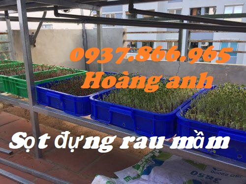 Thùng cơ khí, thùng đặc cao 10, hộp nhựa, sóng nhựa bít