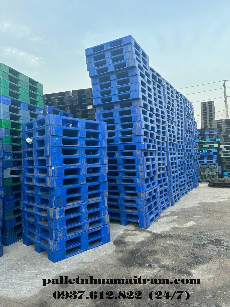 Đại lý cung cấp pallet  nhựa tại Đồng Tháp giá rẻ bất ngờ