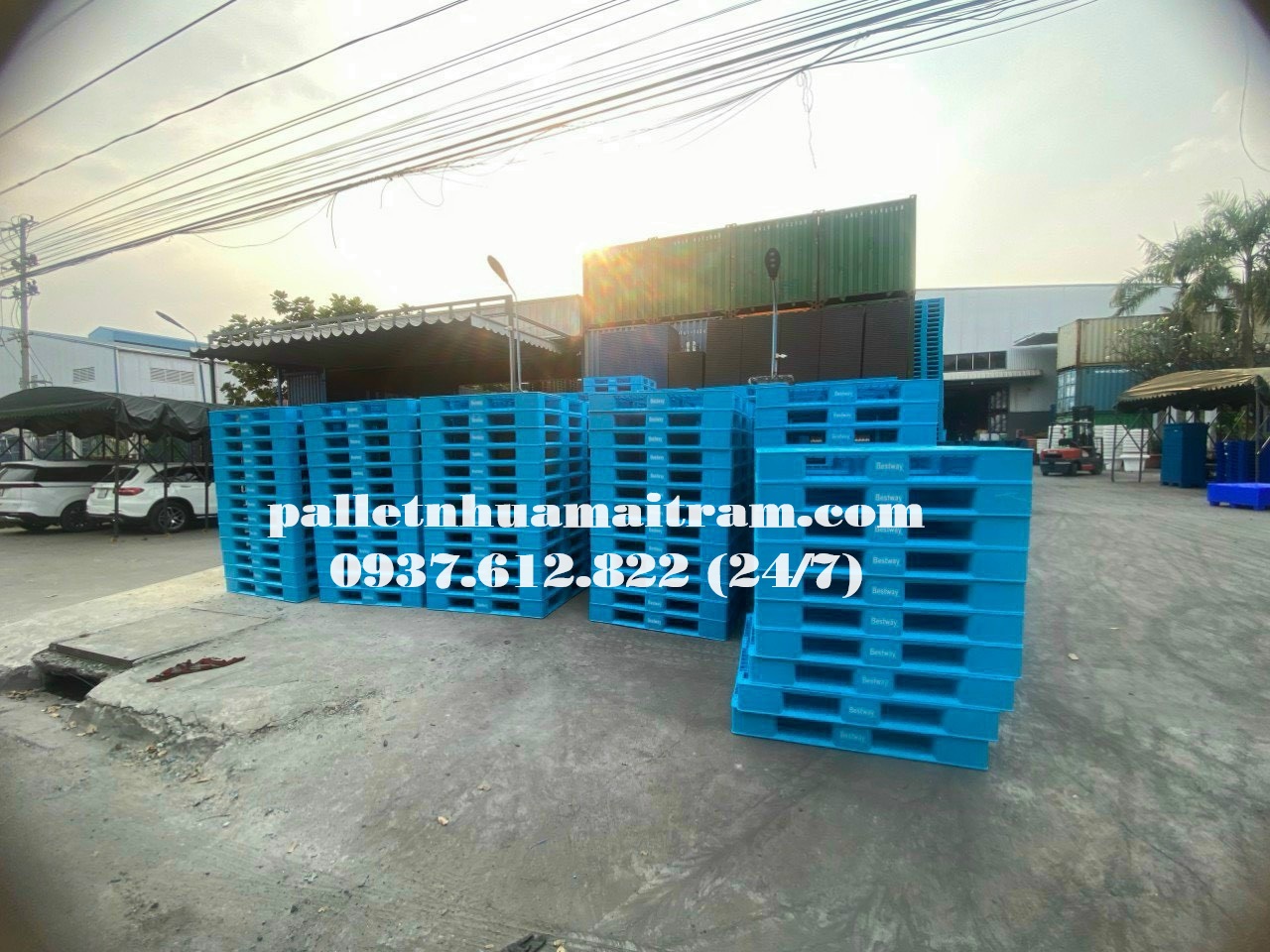 Pallet nhựa Mai Trâm giảm giá liên hệ ngay