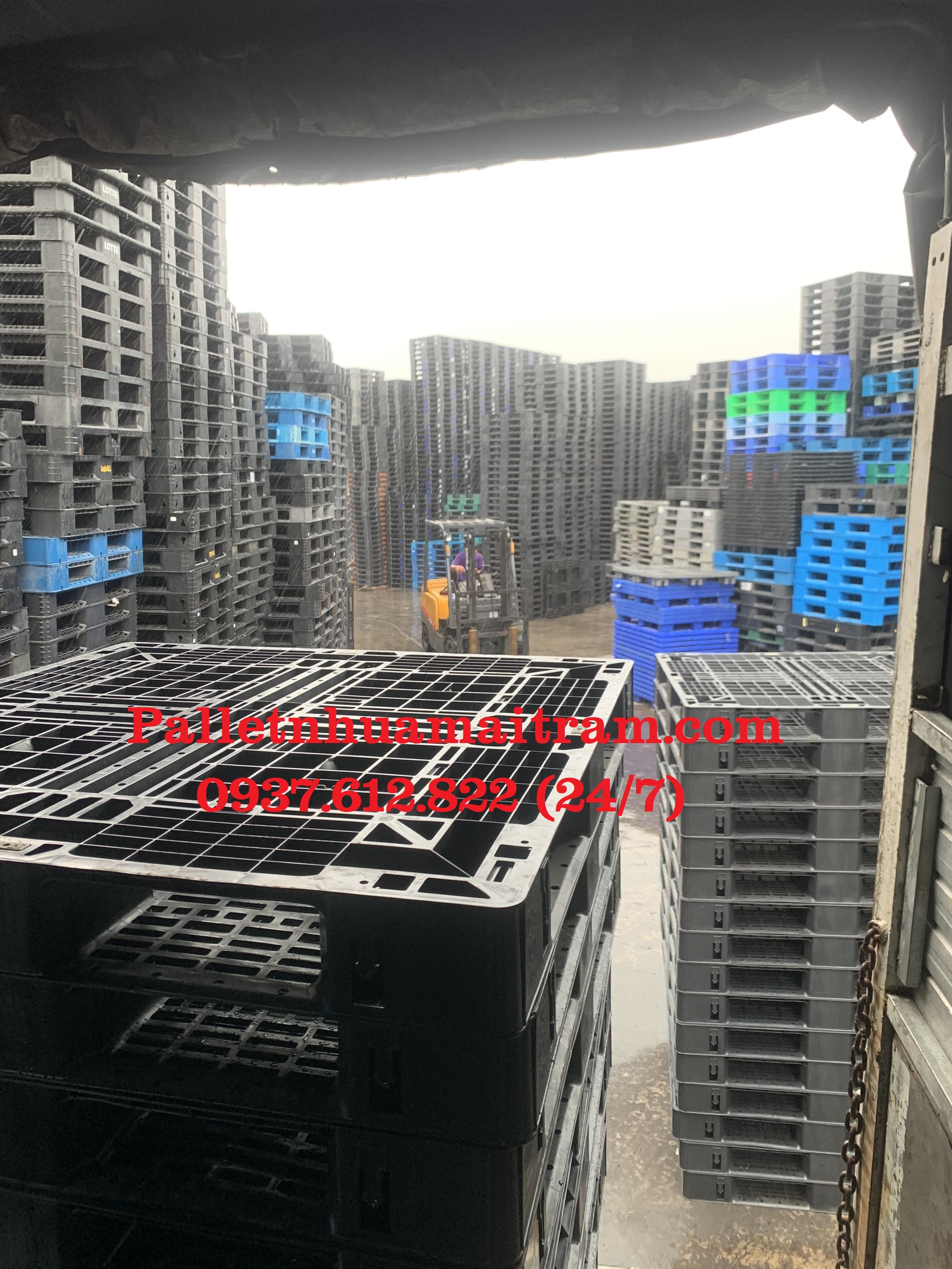 Cung cấp pallet nhựa cũ giá rẻ tại Thủ Đức