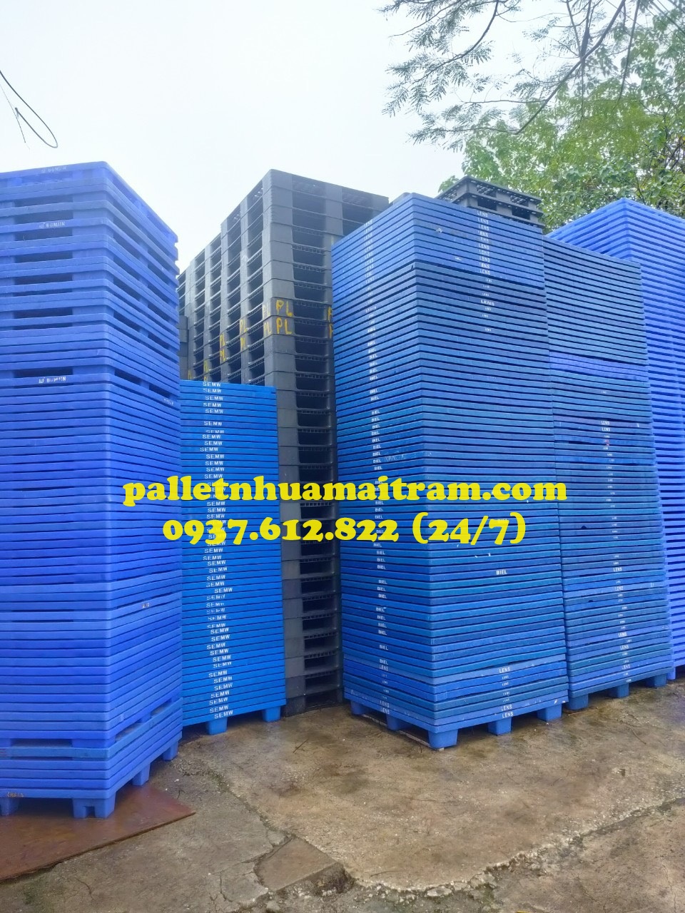 Xu hướng ảnh hưởng đến pallet nhựa màu đen