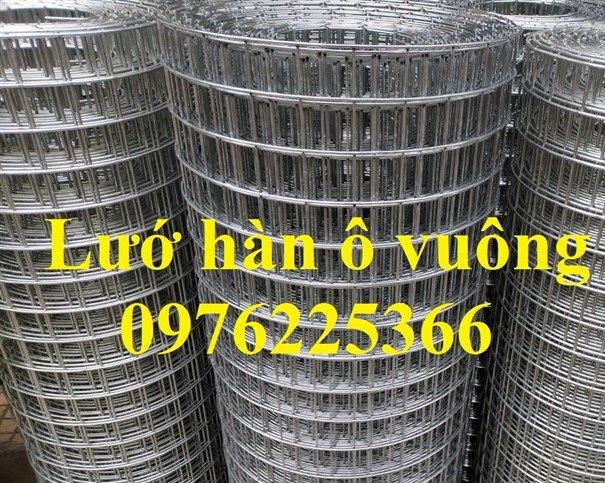 Lưới hàn mạ kẽm cuộn ô 50x50 sợi 2mm, 3mm