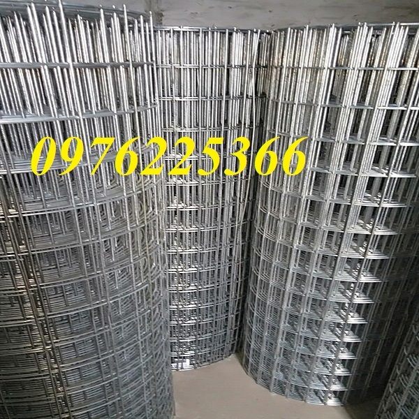 Lưới hàn mạ kẽm cuộn ô 50x50 sợi 2mm, 3mm