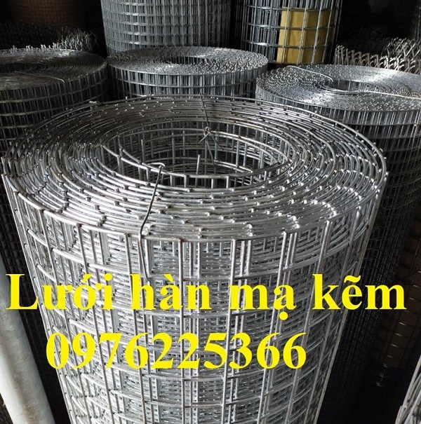 Lưới hàn mạ kẽm cuộn ô 50x50 sợi 2mm, 3mm