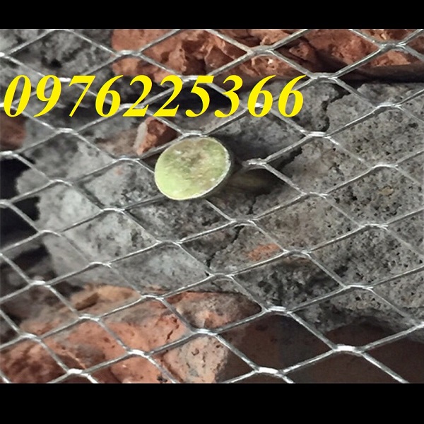 Lưới trát tường mắt cáo 6x12, 10x20, 15x30, 20x40