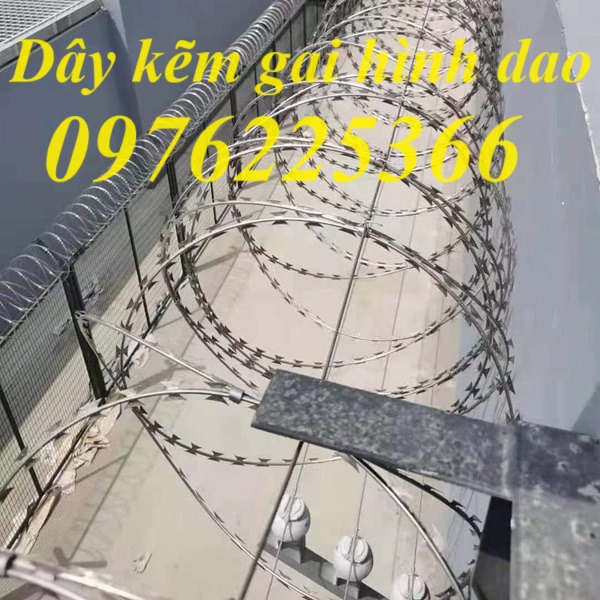 Dây kẽm gai vòng tròn D30, D45, D50, D60 mạ kẽm
