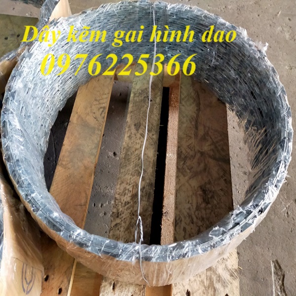 Dây kẽm gai vòng tròn D30, D45, D50, D60 mạ kẽm