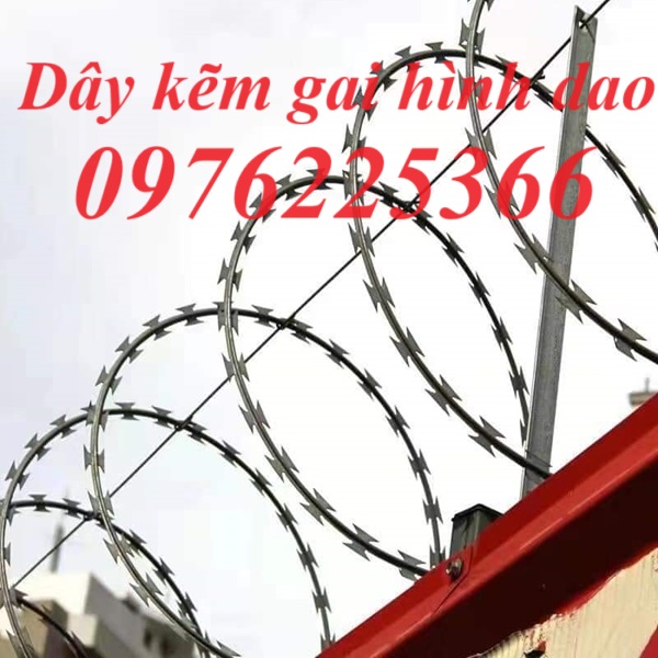 Dây kẽm gai vòng tròn D30, D45, D50, D60 mạ kẽm