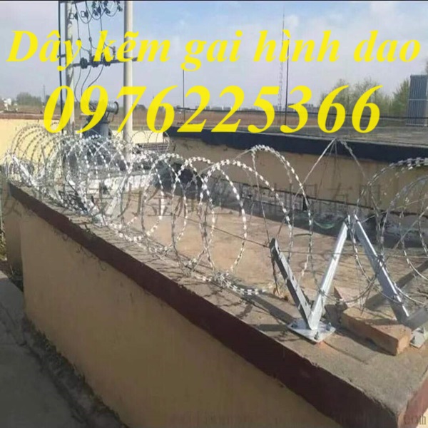 Dây kẽm gai vòng tròn D30, D45, D50, D60 mạ kẽm
