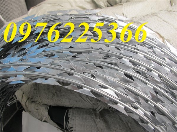 Dây kẽm gai vòng tròn D30, D45, D50, D60 mạ kẽm