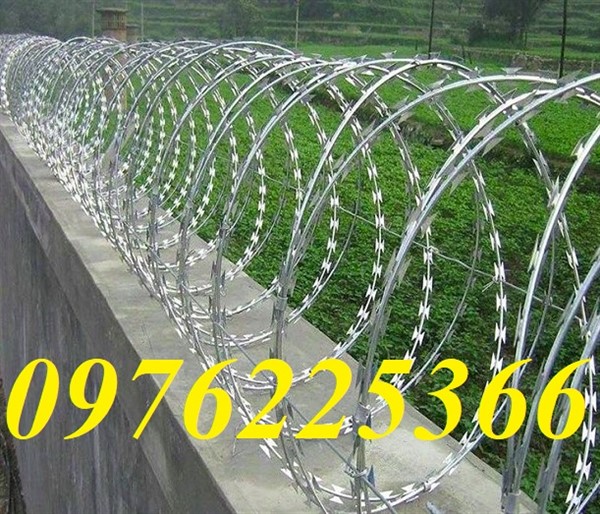 Dây kẽm gai vòng tròn D30, D45, D50, D60 mạ kẽm