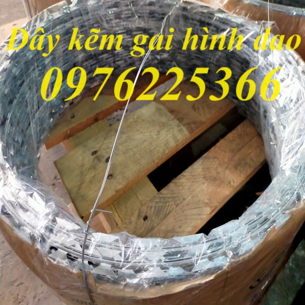 Dây kẽm gai vòng tròn D30, D45, D50, D60
