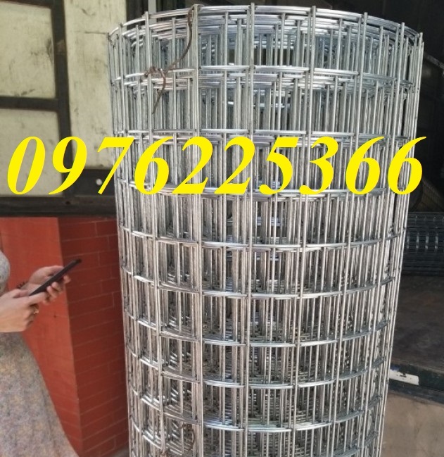 Lưới mạ kẽm ô vuông 50x50, Lưới thép hàn 50x50 mạ kẽm