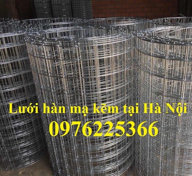 Cuộn lưới thép mạ kẽm 25x25, lưới mạ kẽm ô vuông 25x25