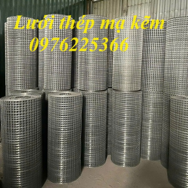 Cuộn lưới thép mạ kẽm 25x25, lưới mạ kẽm ô vuông 25x25