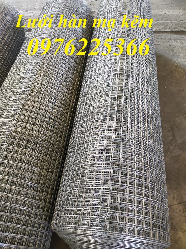Cuộn lưới thép mạ kẽm 25x25, lưới mạ kẽm ô vuông 25x25