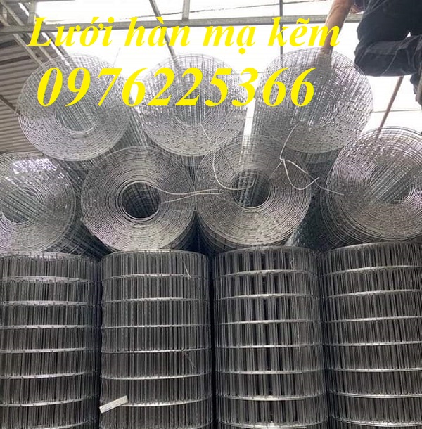 Lưới hàn mạ kẽm D2A50x50  Lưới thép mạ kẽm D2A50x50