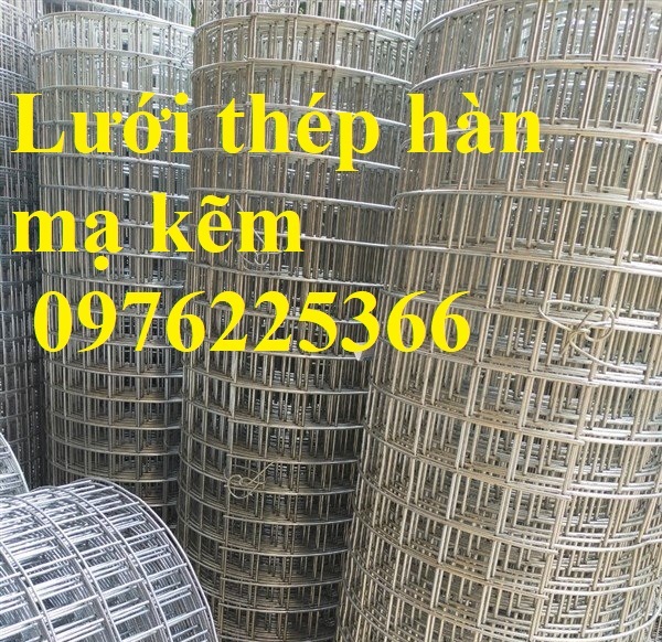 Lưới thép hàn cuộn D2, D3, D4 ô 50x50 mạ kẽm