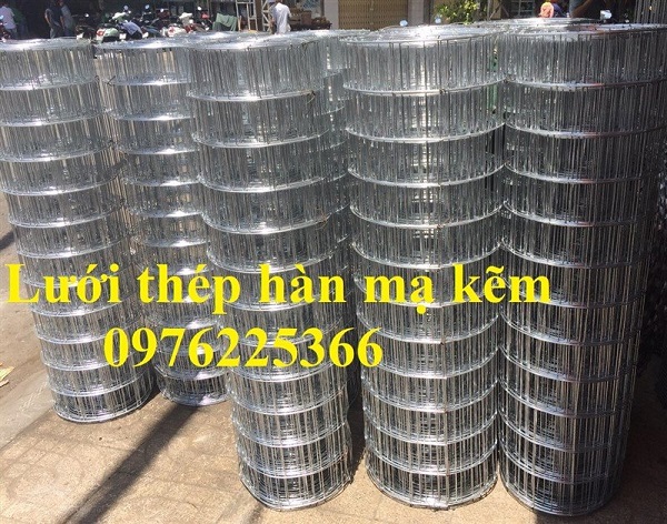 Lưới thép hàn mạ kẽm D3a50x50 hàng cuộn