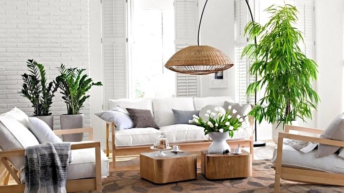 Chọn mua cây phong thủy hợp với nhà chung cư