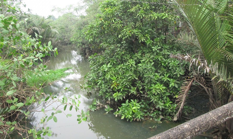 Mua bán đất vườn tại Quảng Ngãi nhanh chóng và an toàn!