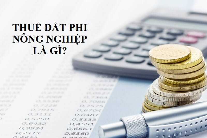 Tổng hợp các thông tin về thuế đất phi nông nghiệp là gì?