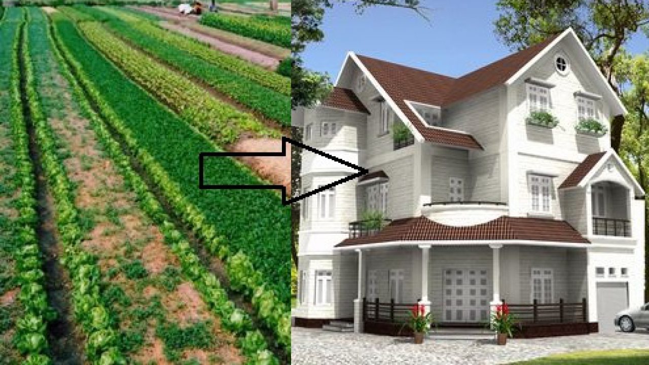 Giải đáp thắc mắc đất trồng rừng có lên thổ cư được không?