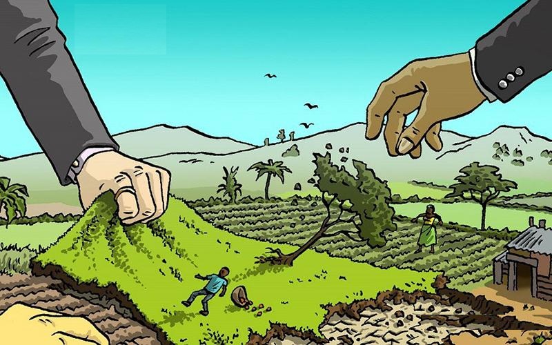 Đất HNK có lên thổ cư được không cùng thông tin cần lưu ý