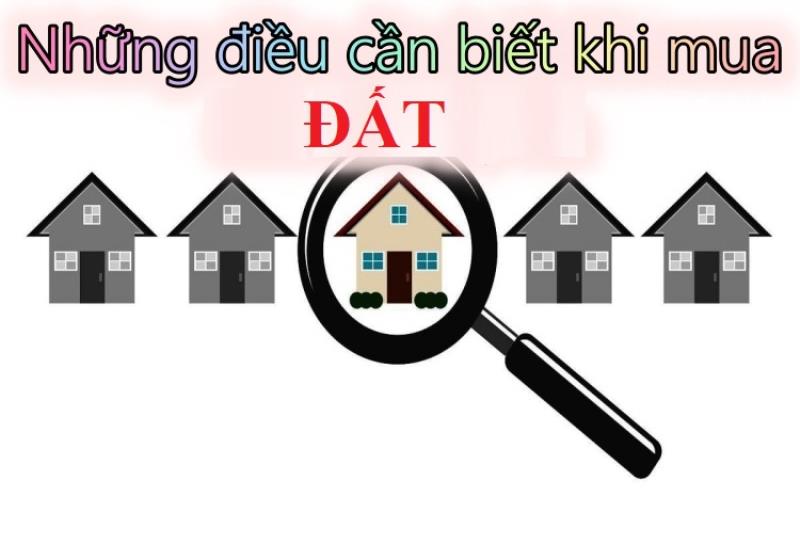 Những điều cần biết trước khi mua đất - kinh nghiệm cho nhà đầu tư