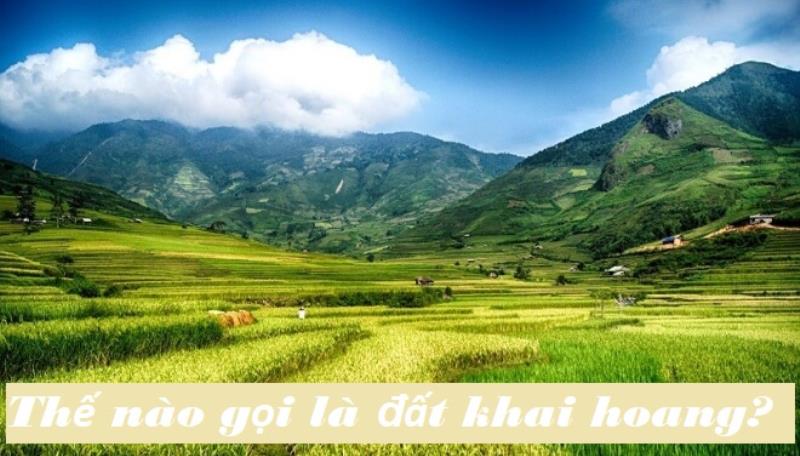 Thế nào gọi là đất khai hoang và có được cấp sổ đỏ hay không?
