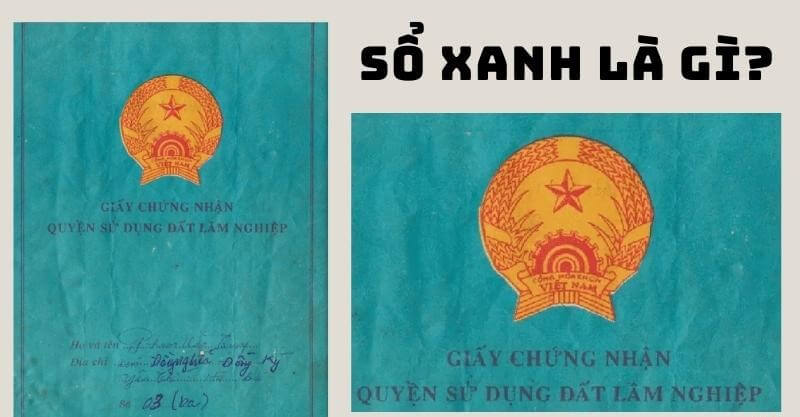 Đất sổ xanh là gì? giá trị đất sổ xanh liệu có ngang đất sổ đỏ?