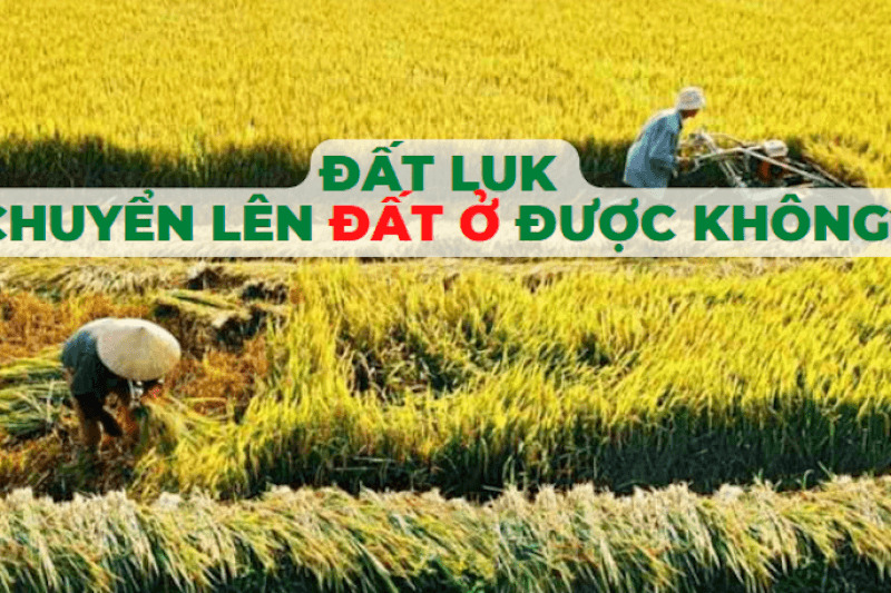 Đất luk là gì? Sự khác biệt của đất luk như thế nào 