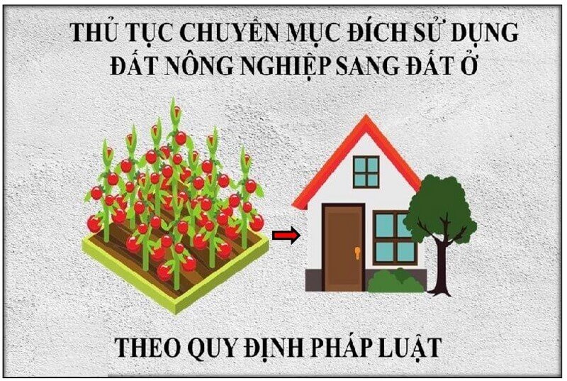 Chuyển mục đích sử dụng đất là gì? Mục đích, hồ sơ và thủ tục