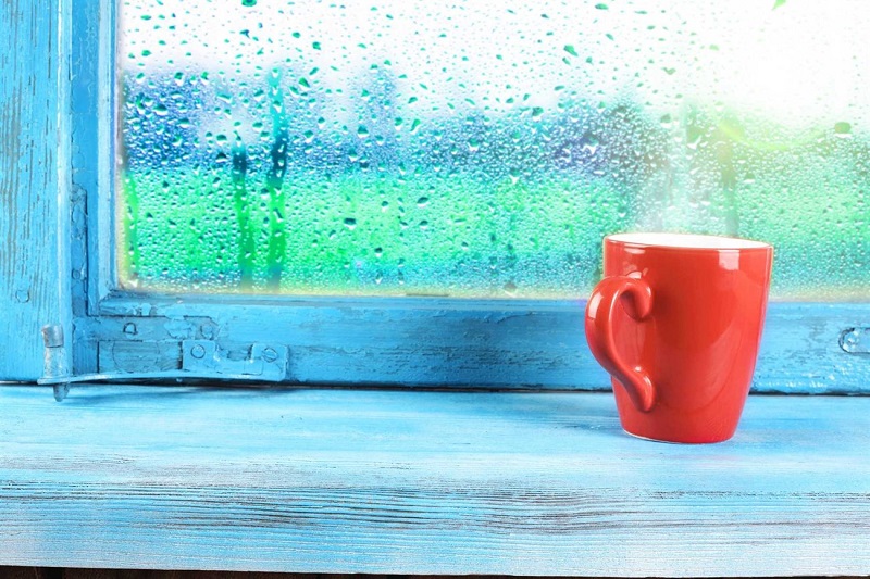 Cách chống nồm hiệu quả có thể bạn chưa biết, khám phá ngay!