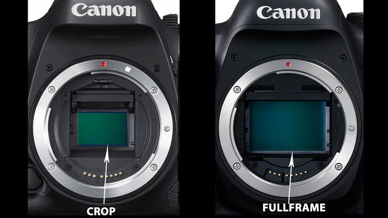 Máy ảnh Full Frame và Crop là gì và những điểm khác biệt nổi bật nhất 