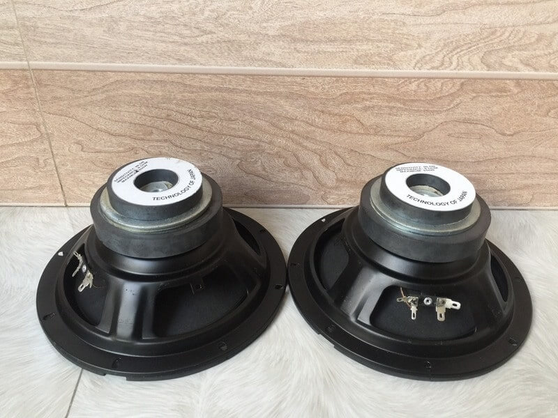 Loa từ kép là gì? Làm sao có thể phân biệt các loại loa từ kép