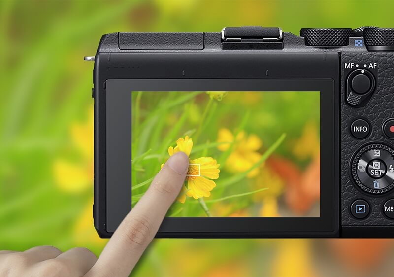 Chế độ AF trong máy ảnh là gì và những thông tin bạn nên biết