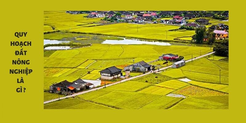 Quy hoạch đất nông nghiệp là gì và các thông tin mà bạn cần quan tâm