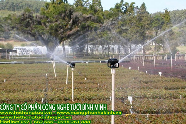 hệ thống tưới phun mưa, béc tưới phun mưa, vòi phun tưới cây ăn quả