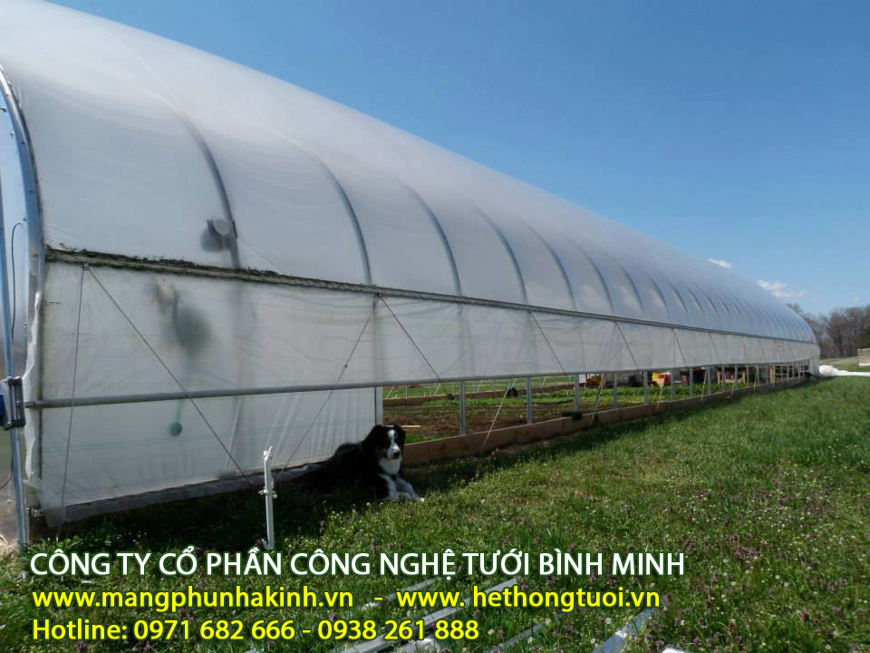 1.	  Màng nhà kính Israel Politiv,màng phủ nhà kính Politiv