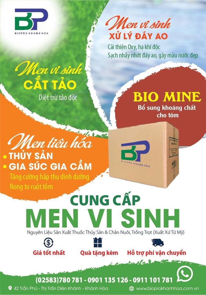 BP - Sorbi thuốc giải độc gan, bổ gan tôm cá chiết xuất từ thảo dược