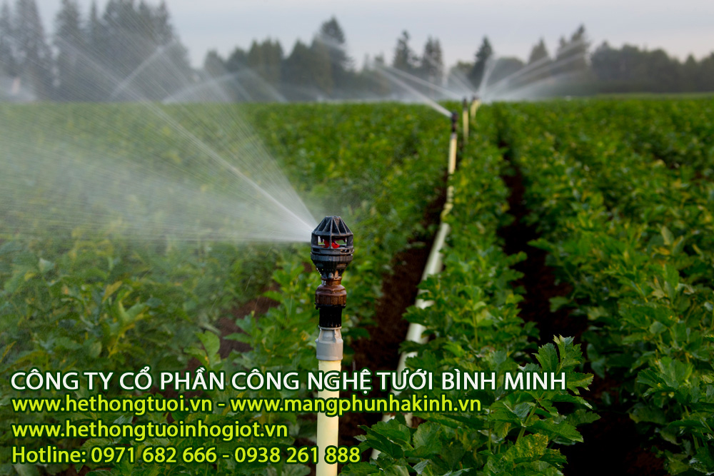 Phun sương coolnet netafim israel, hệ thống tưới phun sương,